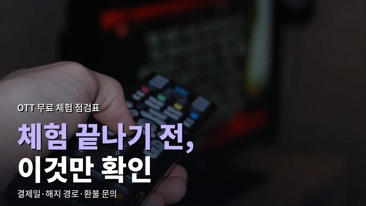 TV를 향해 리모컨을 든 손
